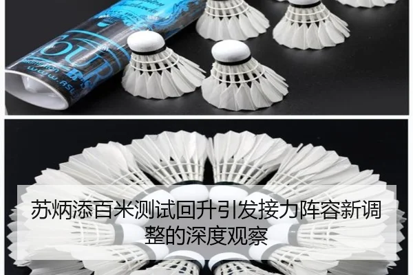 苏炳添百米测试回升引发接力阵容新调整的深度观察